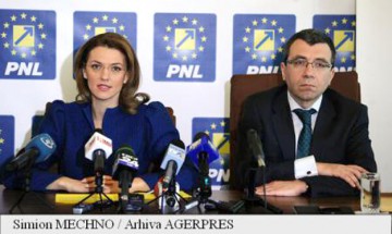 Voicu a demisionat din funcţia de preşedinte al Comisiei de Cod electoral