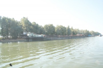 Ucrainean reţinut de poliţiştii de frontieră în timp ce traversa Dunărea înot