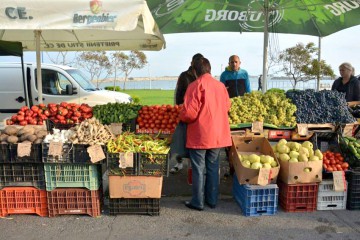 Zilele Recoltei la Mangalia: evenimente pe bandă rulantă în Portul Turistic