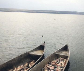 Prima fermă ecologică de peşte, înfiinţată la Constanţa