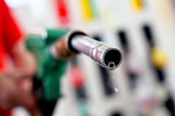 Ce mărfuri au exportat constănţenii în primele şase luni