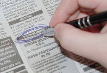 Aproape 280.000 de persoane și-au găsit un loc de muncă