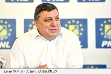 Atanasiu: Nimeni din ţara asta nu putea să o salveze în Parlament pe Udrea decât PSD