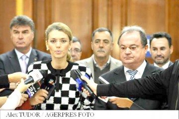 PNL solicită amânarea dezbaterii moţiunii simple