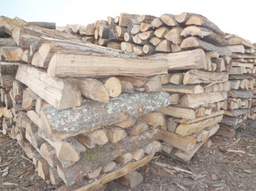 Cercetaţi pentru furt de material lemnos, la Hârşova
