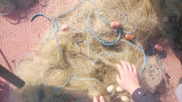Bulgari depistaţi în timp ce pescuiau cu plase monofilament în apele româneşti
