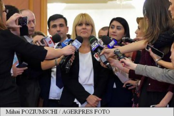 Udrea: Nu contest votul; vreau să port din nou cătușe, dacă e circ, să fie până la capăt
