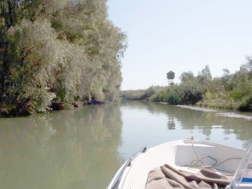 Fără brevet, la plimbare cu barca în Delta Dunării