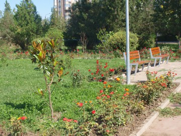 Spaţiile verzi şi parcurile din Medgidia, reabilitate