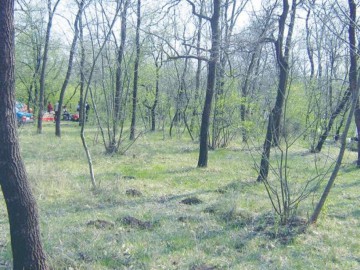Bărbat cercetat pentru braconaj în pădurea Comorova