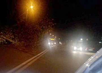 Un copac a căzut pe strada Industrială