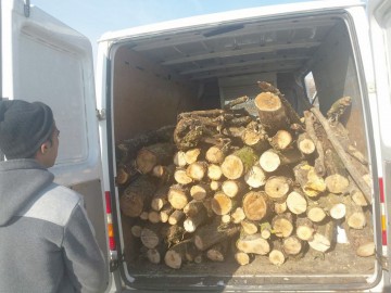Transport ilegal de material lemnos, depistat la Cernavodă