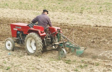 Fermierii vor primi o primă tranşă de 13,6 milioane de euro în contul subvenţiilor pe suprafaţă