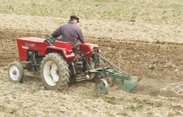 APIA a emis ordine de plată pentru 600.000 de fermieri
