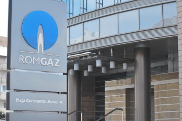 Peste 6.000 de angajaţi Romgaz, în grevă japoneză