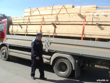 Directorul Direcţiei Silvice, despre furturile de material lemnos: „Pădurarii îşi fac treaba”