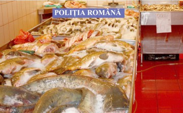 Acţiune a poliţiştilor în Delta Dunării