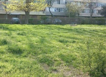 Primăria Constanţa intervine pentru salubrizarea spaţiilor verzi