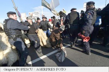 Mii de crescători de oi au protestat la Parlament!
