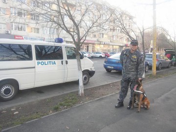 Mascaţii au verificat zona Far din Constanţa, cu un câine din cadrul Pirotehnic