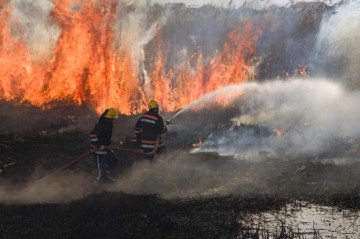 Incendiu puternic în zona cetății Histria