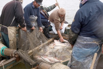 Permisele de pescuit în Deltă, valabile până la începerea prohibiției