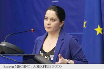 MAE: Ambasadorul român la Oslo a avut discuţii cu autorităţile norvegiene referitor la cazul Bodnariu
