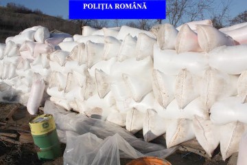 PERCHEZIŢII la Lipniţa: mascaţii au dat buzna peste hoţii de produse petroliere şi îngrăşământ