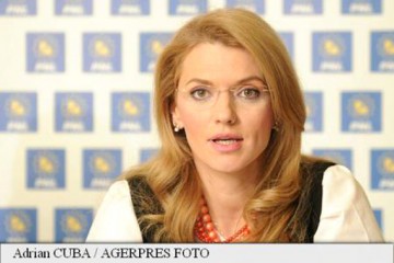 Gorghiu: Vina menţinerii MCV aparţine majorităţii construite în jurul PSD