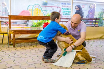 Terapie cu câini şi delfini pentru copiii cu dizabilităţi şi nu numai