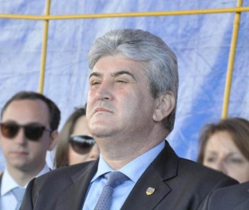 Comisia juridică a Senatului discută azi cererea DNA de urmărire penală a lui Oprea