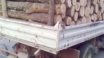 Primăria se aprovizionează cu lemne de foc pentru distribuirea de ajutoare pentru încălzirea locuinței