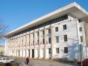 Primăria organizează dezbatere publică pe tema gestionării maidanezilor