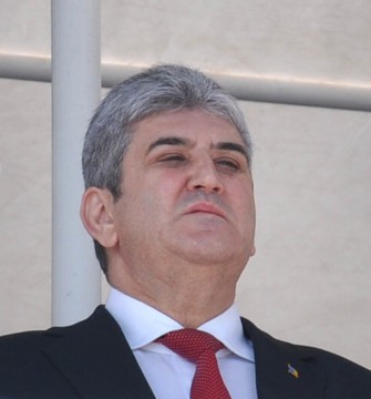 Comisia juridică din Senat a aprobat solicitările Justiției în cazurile Gabriel Oprea și Doina Tudor