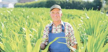 România avea 442 cultivatori de plante energetice, în 2015