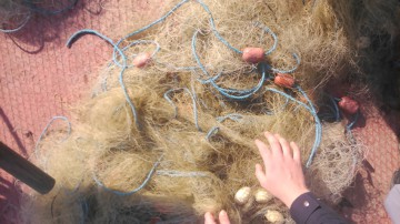 Peste 1,5 kilometri de plase de pescuit confiscate de poliţiştii de frontieră