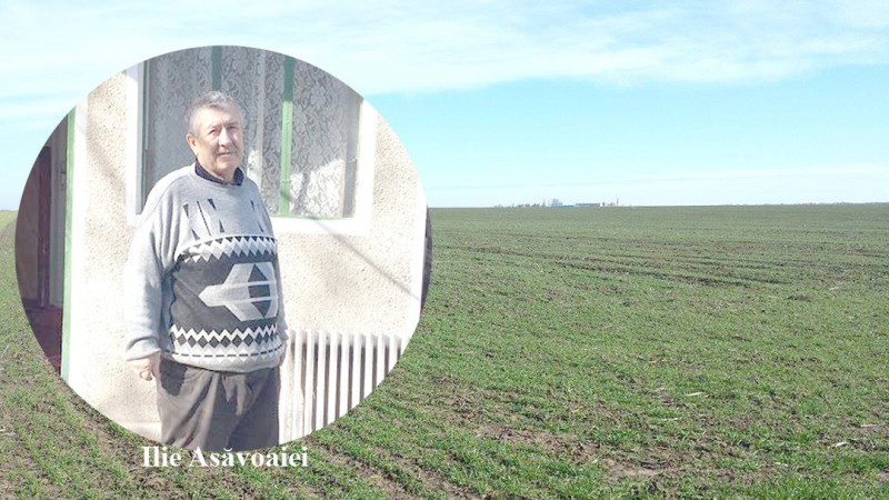 Primarul demis de la Tuzla se foloseşte de Poliţia Locală să pună mâna pe 60 de hectare de teren! Primarul demis de la Tuzla se foloseşte de Poliţia Locală să pună mâna pe 60 de hectare de teren!