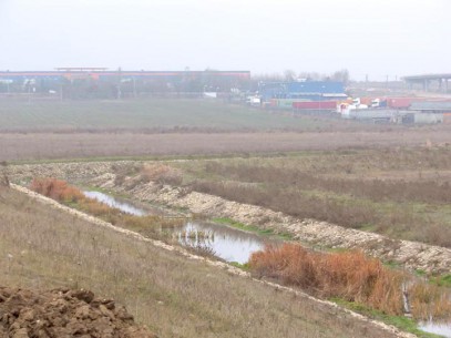 Falsul moştenitor a mii de hectare de teren în Constanţa, trimis în judecată alături de doi notari Falsul moştenitor a mii de hectare de teren în Constanţa, trimis în judecată alături de doi notari