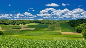 Investitorii din agribusiness vor continua să vină în România