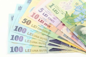 Persoanele care adoptă copii mai mari de doi ani vor primi 1700 de lei lunar, timp de un an