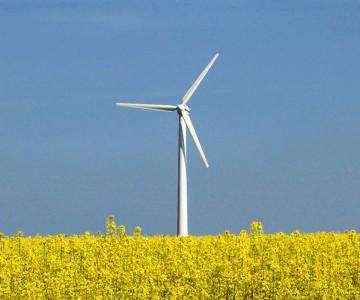 Comisia Europeană promite că va lua măsuri pentru a răspunde crizei din sectorul agricol