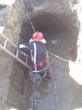 Pompierii, solicitaţi să salveze o vidră căzută într-un canal din faţa Primăriei Tuzla