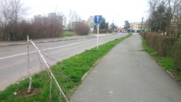 Poliţia caută indivizii care au rupt mestecenii din Saturn