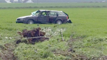 Accident grav, la Valu: s-a răsturnat cu maşina, după ce s-a izbit de un copac