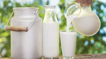 Producătorii de lapte cer Guvernului o subvenţie de 50 bani/litru