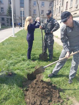 Poliţiştii constănţeni au trecut la plantat!