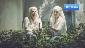 Măicuțe care cresc marijuana şi o transformă în remedii naturiste pe care le vând online