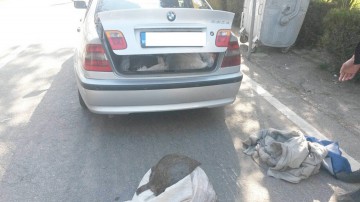 Peşte confiscate de poliţişti: era transportat spre Bulgaria
