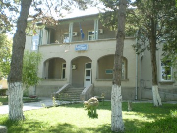 Primăria Techirghiol desfăşoară o campanie de sterilizare a câinilor