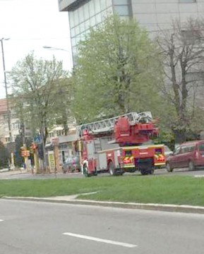 Pompierii, solicitaţi să salveze un câine blocat pe un acoperiş